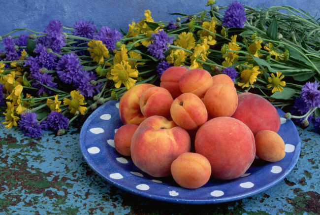 Обои картинки фото еда, персики, сливы, абрикосы, тарелка, с, персиками, абрикосами
