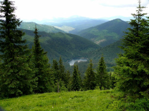 Картинка украина закарпатье природа пейзажи лес озеро синевер