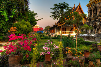 Картинка wat chiang man mai thailand города буддистские другие храмы храм ват Чианг ман Чиангмай тайланд цветы