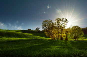 Картинка природа восходы закаты лучи поле деревья солнце