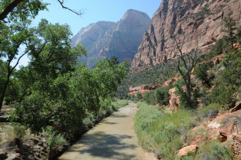 Картинка zion national park utah природа горы тропинка