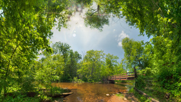 Картинка природа реки озера ветки деревья мост река