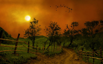 Картинка природа дороги вечер холмы трава дорога изгородь солнце деревья
