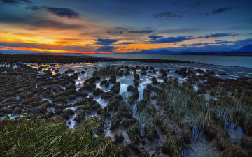 Картинка природа восходы закаты озеро отмель трава тучи закат