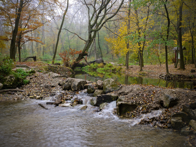 Обои картинки фото природа, реки, озера, осень, туман, камни, поток, река, лес