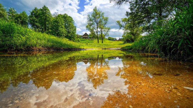 Обои картинки фото природа, реки, озера, лето, река, камыш, трава, деревья