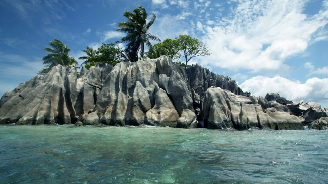 Обои картинки фото природа, тропики, сейшельские, острова, пальмы, море, камни