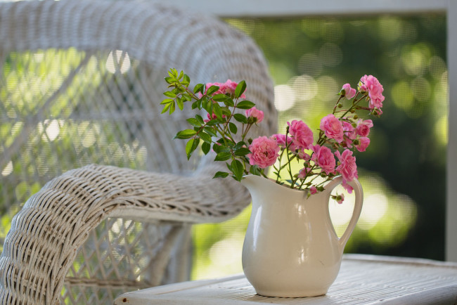 Обои картинки фото цветы, розы, кувшин, кресло