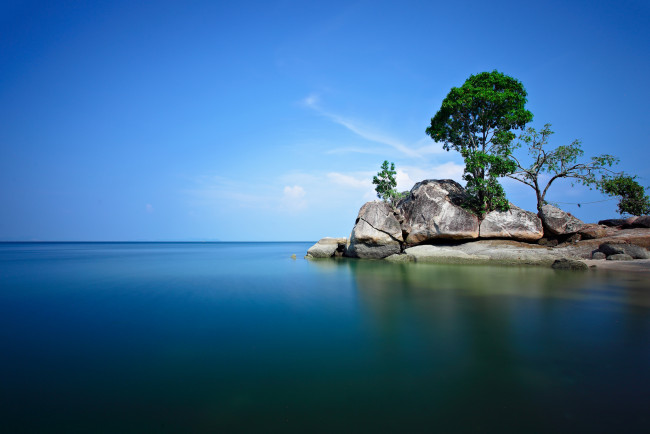 Обои картинки фото природа, моря, океаны, камни, остров, деревья, море