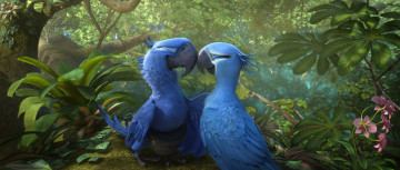 Картинка мультфильмы rio+2 попугаи