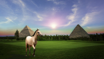 Картинка разное компьютерный+дизайн пирамиды лошадь поле лес