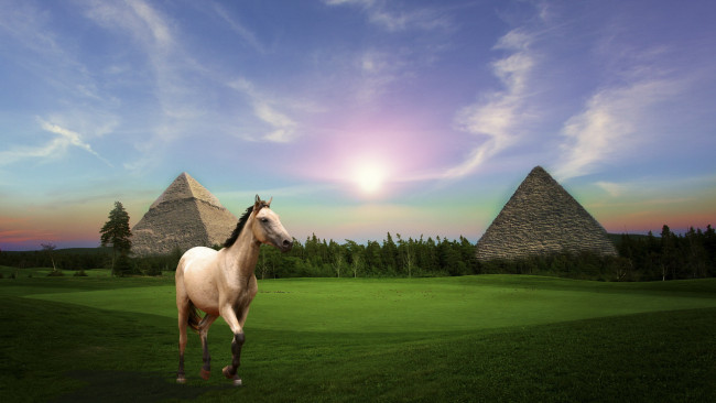 Обои картинки фото разное, компьютерный дизайн, пирамиды, лошадь, поле, лес