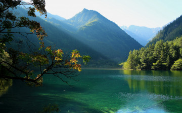 Картинка природа реки озера леса ветки деревья горы озеро