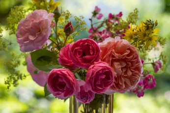 Картинка цветы букеты +композиции розы букет боке