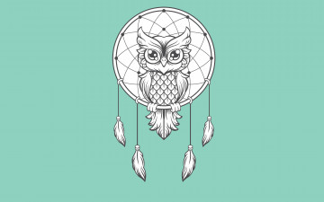 Картинка рисованное минимализм птица ловец снов dreamcatcher сова светлый фон owl dream catcher
