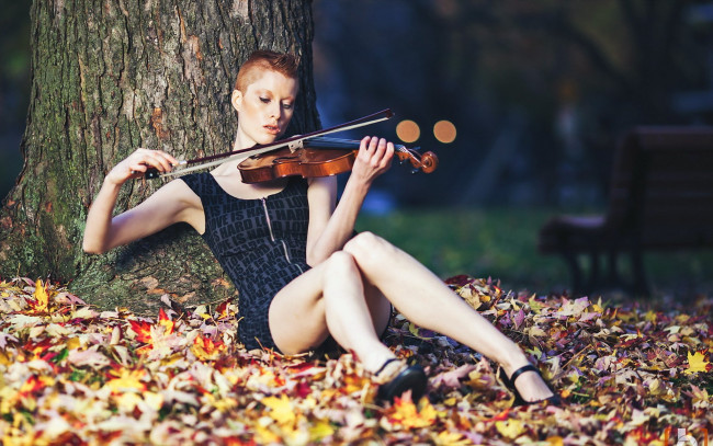 Обои картинки фото музыка, -другое, девушка, скрипка, листва, природа