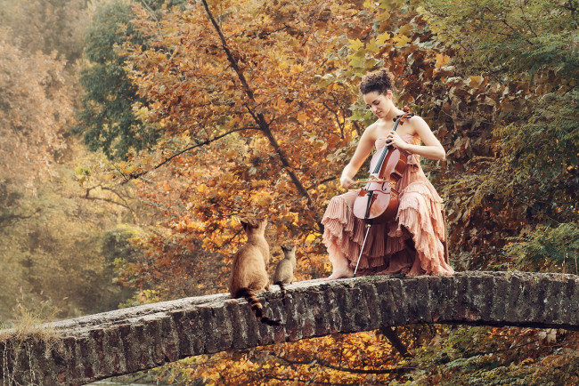 Обои картинки фото музыка, -другое, природа, мост, инструмент, девушка, кошка
