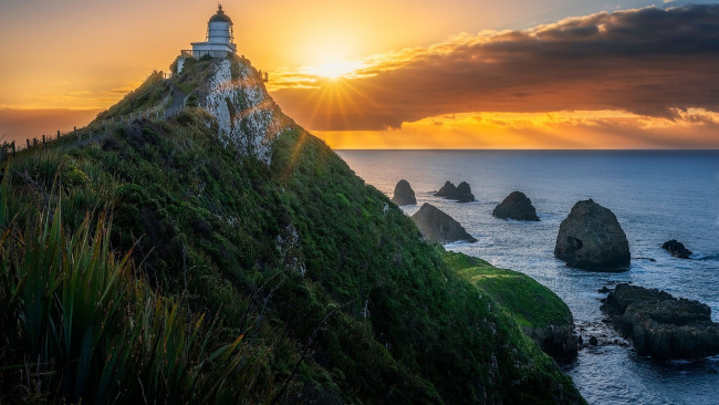 Обои картинки фото nugget point lighthouse, new zealand, природа, маяки, nugget, point, lighthouse, new, zealand