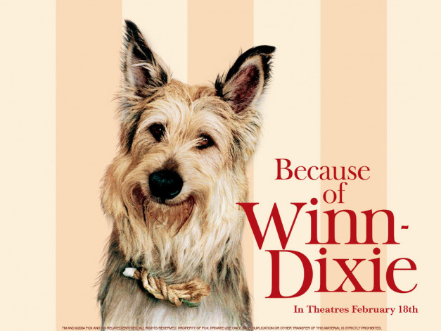 Обои картинки фото because, of, winn, dixie, кино, фильмы