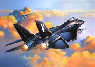 Картинка grumman f14 tomcat авиация 3д рисованые graphic истребитель палубный полет