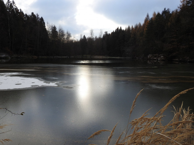 Обои картинки фото природа, реки, озера, вода, лес, зима
