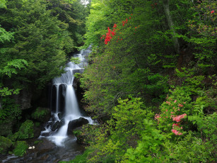 Картинка природа водопады лес поток камни