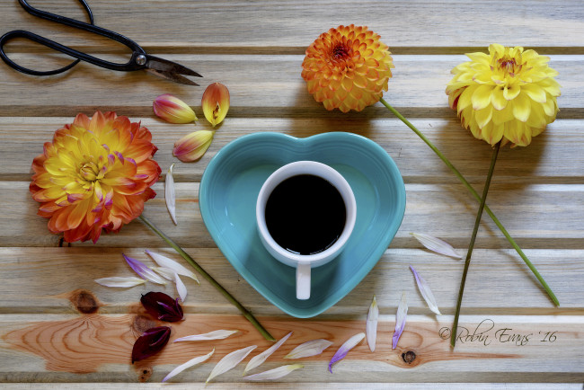 Обои картинки фото еда, кофе,  кофейные зёрна, георгин, цветы, чашка