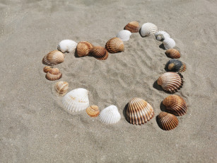 обоя разное, ракушки,  кораллы,  декоративные и spa-камни, песок, сердце