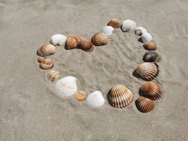 Обои картинки фото разное, ракушки,  кораллы,  декоративные и spa-камни, песок, сердце