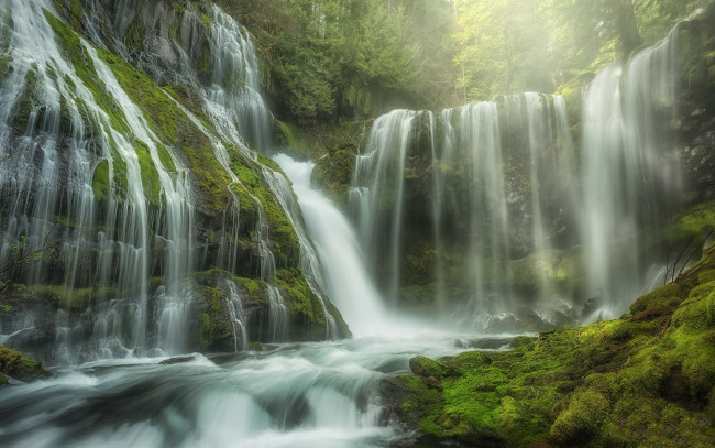 Обои картинки фото panther creek falls, usa, природа, водопады, panther, creek, falls