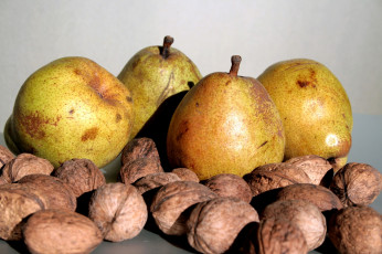 Картинка еда разное грецкие орехи груши