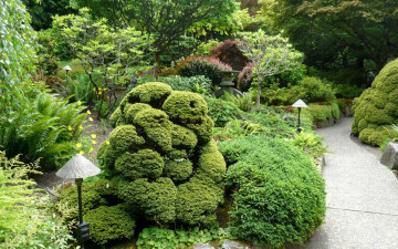 Картинка канада брентвуд бэй japanese garden природа парк сад