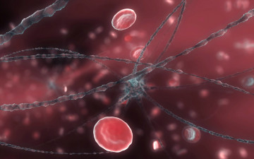 Картинка neuron and red blood cells 3д графика abstract абстракции микромир клетки кровь нейрон