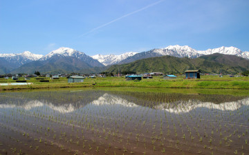 Картинка природа поля поле рис горы вода