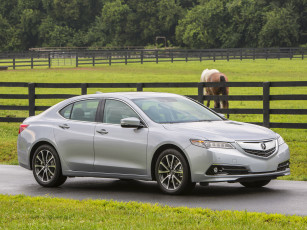 обоя автомобили, acura, 2015г, tlx, 3-5l, v6, sh-awd, серый