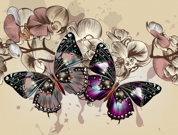 Обои картинки фото векторная графика, животные, фон, орхидеи, цветы, цвета, крылья, бабочки