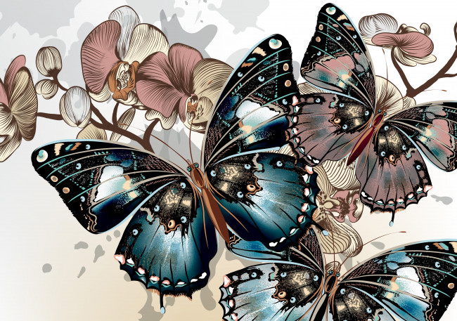 Обои картинки фото векторная графика, животные, цветы, фон, цвета, окрас, крылья, орхидеи, бабочки