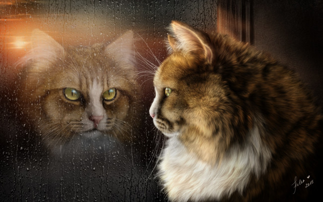 Обои картинки фото рисованное, животные,  коты, отражение, дождь, кот, настроение, окно