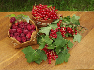 Картинка еда фрукты +ягоды август угощение стол натюрморт малина красная смородина урожай ягоды