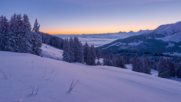 Картинка природа зима швейцария деревья горы закат