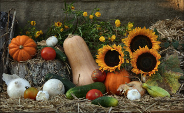 Картинка еда овощи дары природы фотонатюрморт солнца луч натюрморт лук композиция кабачок