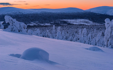 Картинка природа зима сугробы деревья снег лапландия