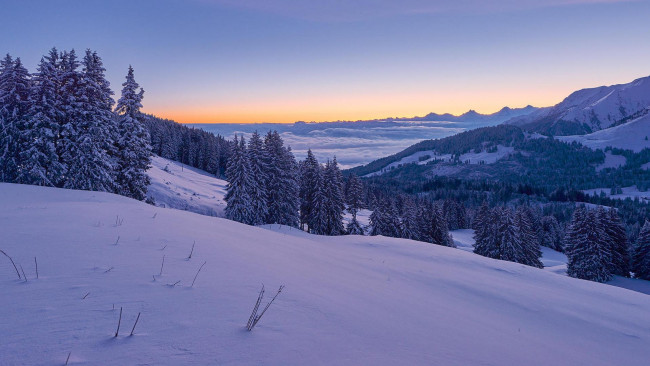 Обои картинки фото природа, зима, швейцария, деревья, горы, закат