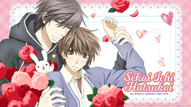 Обои картинки фото sekai ichi hatsukoi, аниме, фон, взгляд, парень