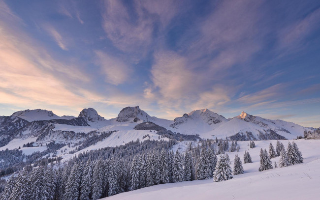 Обои картинки фото природа, горы, деревья, закат, зима, швейцария