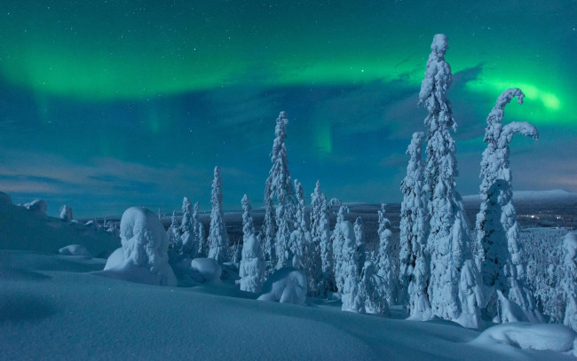 Обои картинки фото природа, северное сияние, сугробы, деревья, снег, зима, лапландия