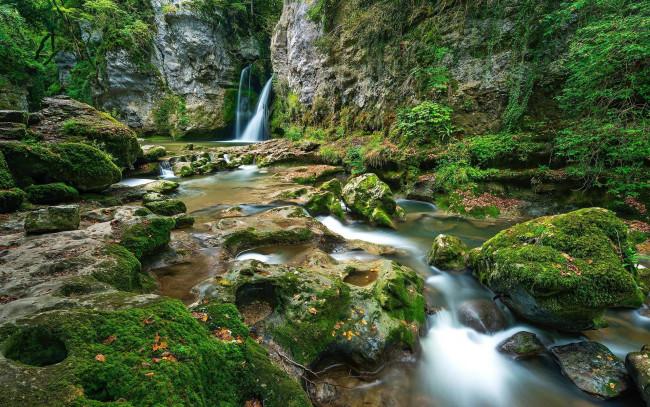 Обои картинки фото природа, водопады, водопад, лес, деревья, скалы