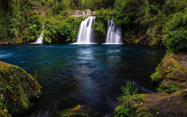 Обои картинки фото природа, водопады, водопад, водоём, деревья, лес