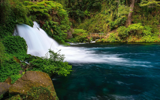 Обои картинки фото природа, водопады, водоём, водопад, деревья, лес