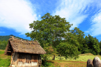 Картинка разное сооружения постройки дерево дом
